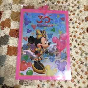 (未使用品)ディズニー30周年クリアファイル