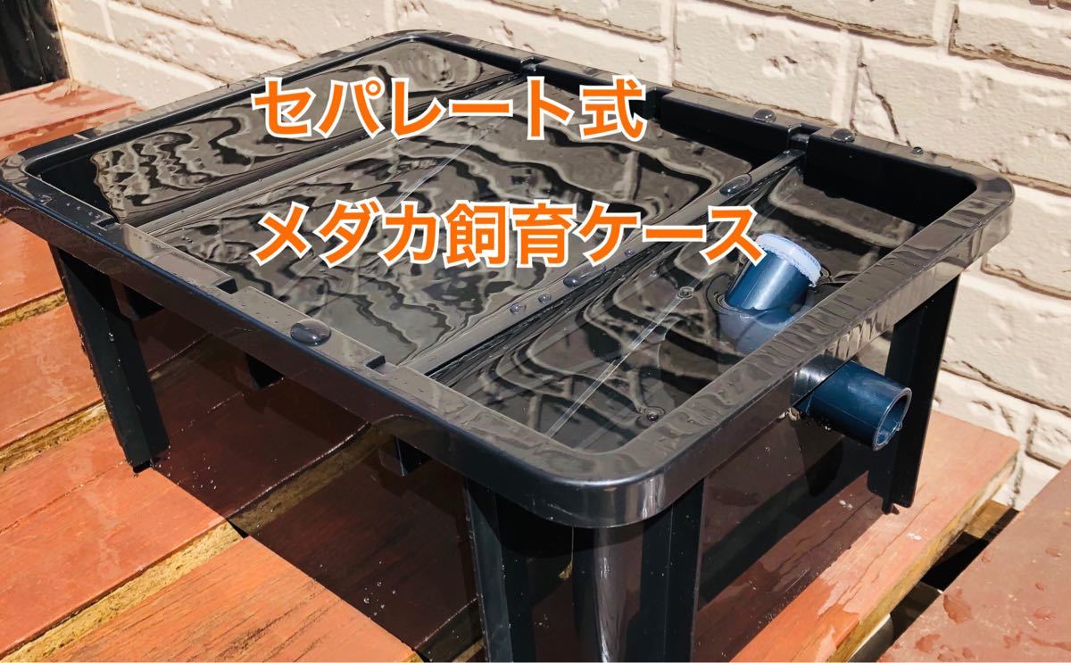 低価格で大人気の メダカ飼育ケース1個 トロ舟40L オーバーフロー加工
