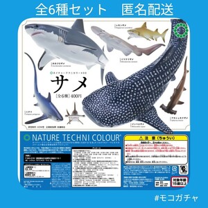 【全6種】ネイチャーテクニカラー400 サメ　ガチャガチャ　ガシャポン