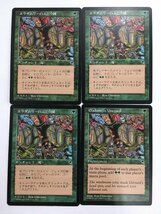 MTG マジック ザ・ギャザリング エラダムリーのぶどう園 Eladamri's Vineyard 4枚セット テンペスト ユーズド_画像1