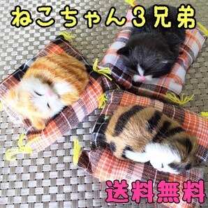 ねこちゃん3兄弟 ぬいぐるみ