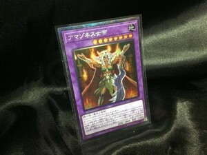 遊戯王 CP17-JP023 アマゾネス女帝 コレクターズ 3枚セット 定形可