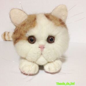 鼻ぺちゃ猫