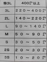 長崎県産じゃがいもS　10㎏_画像2