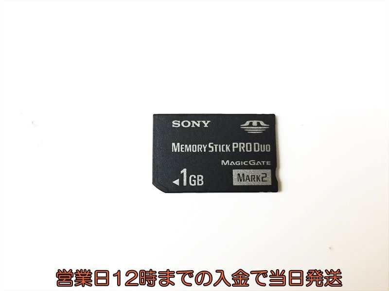 超熱 Lexar メモリースティック MSDP1GB-800 1GB Duo Pro メモリースティック -  www.giovannadamonte.it