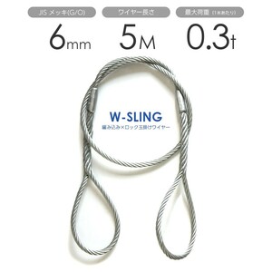 ダブルスリング Φ6mmｘ5m ヒゲなし 玉掛けワイヤーロープ メッキ 1本