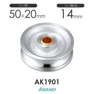 浅野金属工業 AK1901 ステンレスシーブ 50×20