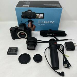 パナソニック デジタルカメラ LUMIX DC-G100V 標準ズームレンズ Panasonic