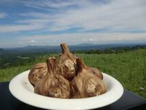 青森県田子産　 黒にんにく 2kg　送料無料　_画像3