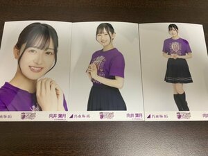 向井葉月 乃木坂46 10thBD ライブTシャツ 紫ver. 生写真 3種コンプ