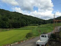 令和３年　広島県産　奥山田コシヒカリ　玄米３０ｋｇ　◆農家直送◆_画像4