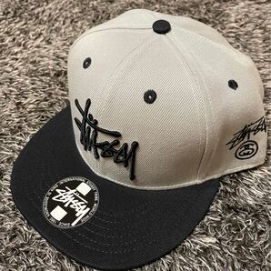 STUSSY スナッフバックキャップ グレー