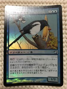 foil仕様 MTG 泥棒カササギ / Thieving Magpie 日本語版 9版