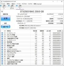 Segate Serial ATA動作品　250GB/35回/22102H_画像1