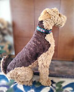 { free shipping }Piutre Italy air Dale terrier siting# soft toy # dog # dog #Airedale Terrier sitting