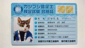 【新品】なめんなよ なめ猫カード【未使用】