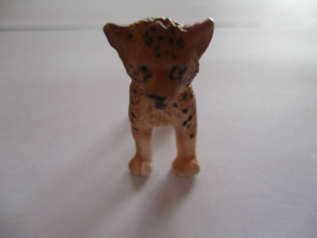 2023年最新】Yahoo!オークション -(チーター チータ cheetah)(生き物