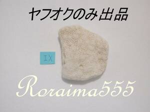 モーレア島　（ タヒチ )　白サンゴ　珊瑚　ヤフオクのみ出品！　欠片　Ⅸ