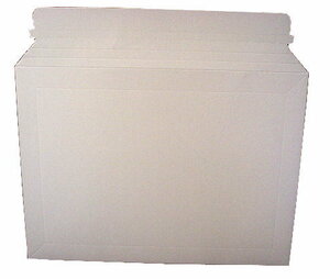 ワンタッチ厚紙封筒 デルパックB5×100枚 パック