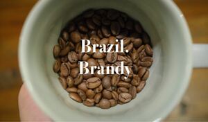 コーヒー豆 ブラジル ブランデー スペシャルティコーヒー お試し付き 150g