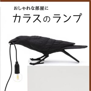 カラス ランプ 低姿勢 照明 おしゃれ LED オブジェ 匿名配送 毎日発送