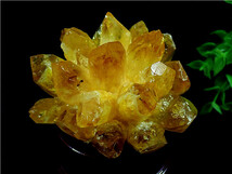 超綺麗★天然パイナップル水晶クラスター169U6-59U16D_画像2