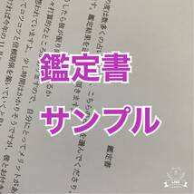 タロット占い　占い　結婚　恋愛　仕事　人間関係　金運　不倫　復縁　転職　悩み　運勢　離婚　霊視　適職　送料無料　即決　鑑定　相談_画像7