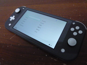 Nintendo Switch Lite グレー HDH-001 ニンテンドースイッチ ライト 簡易動作確認済 初期化済 任天堂 本体のみ 激安1円スタート