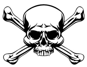 ロー海賊旗の値段と価格推移は 15件の売買情報を集計したロー海賊旗の価格や価値の推移データを公開