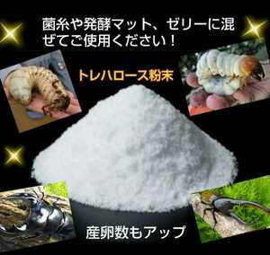 クワガタ、カブトムシのエネルギー源はコレです！トレハロース粉末１００ｇ☆マットや菌糸、ゼリーに混ぜるだけ！サイズアップ、産卵促進に