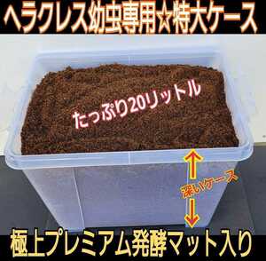  deep ..te kai case attaching! out production rhinoceros beetle exclusive use * special selection premium departure . mat 20 entering * convenience! larva . inserting only!180 millimeter. Hercules results equipped!