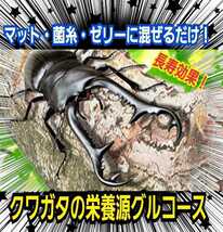 クワガタ・カブトムシの栄養源はコレです！グルコース粉末☆マットや菌糸、ゼリーに混ぜるだけ☆サイズアップ、産卵促進、長寿効果に抜群！_画像8