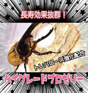  finest quality goods * high grade Pro jelly [200 piece ] special amino acid strengthen combination! production egg ..* length .* body power increase .. eminent effect * stag beetle. bait rhinoceros beetle. bait 