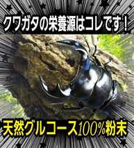 クワガタ・カブトムシの栄養源はコレです！グルコース粉末☆マットや菌糸、ゼリーに混ぜるだけ☆サイズアップ、産卵促進、長寿効果に抜群！_画像6