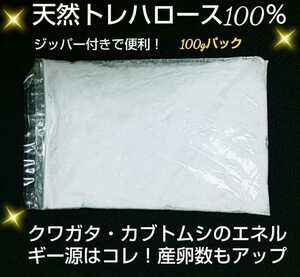  stag beetle * rhinoceros beetle exclusive use *tore Hello s powder mat .. thread, jelly .... only! size up, production egg .., length .. eminent.! zipper attaching sack 