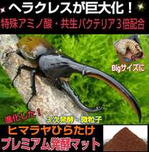 進化した！プレミアム3次発酵カブトムシマット☆特殊アミノ酸など栄養添加剤を3倍配合☆トレハロース、ローヤルゼリー強化！微粒子仕上げ！_画像6