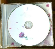 C6426 中古CD ネジ式 NEJISHIKI SISSY SONGS_画像4