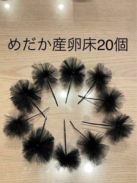 《めだか産卵床20個（チュール生地黒）の商品》