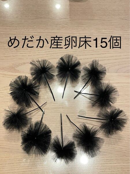 《めだか産卵床15個(チュール生地黒)の商品》