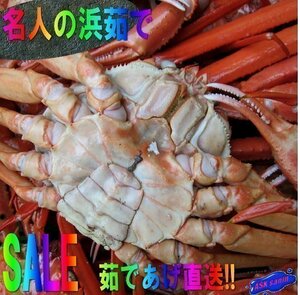 15】名人の浜茹で蟹(1尾400-500g)釜揚げ直送!! ...「紅蟹400up」