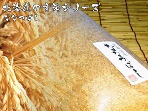 【北海道グルメマート】北海道産 ななつぼし 令和3年度産 玄米 5kg