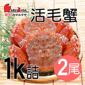 【かにのマルマサ】活蟹専門店 北海道産 活毛ガニ1キロ詰2尾セット