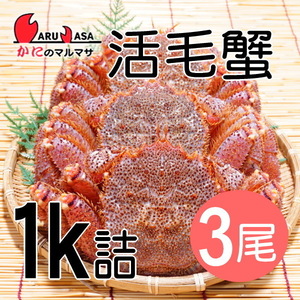 【かにのマルマサ】活蟹専門店 北海道産 活毛ガニ1キロ詰3尾セット