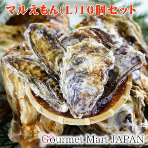 【グルメマートJAPAN】産地直送 北海道厚岸産 殻付き生牡蠣 マルえもん [L(90g～120g)] 10個セット
