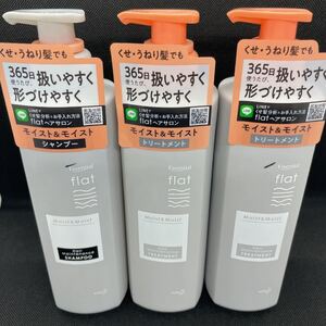 エッセンシャル フラット モイスト&モイスト シャンプー&トリートメントセット