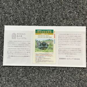 阪急阪神 株主優待回数乗車証（4回カード）2022年6月1日から2023年5月31日まで