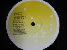 12inch IAN O'BRIEN / JAMES HARDWAY / Pranksters Presents : Infused Twelve Inch 5枚以上で送料無料_画像2