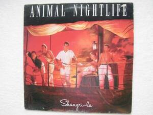 Animal Nightlife/Shangri-La/Bobby Eli/Donald R. Robinson/Michael Forte/Steve Harvey/Paul Waller/1985