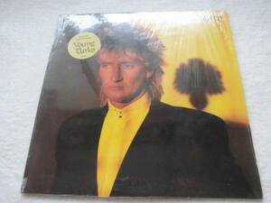 美品放出！Rod Stewart/Tonight I'm Yours/「Tonight I'm Yours」「Young Turks」「How Long」/Paul Carrack/Bob Dylan/Linda Lewis