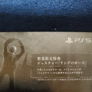 エルデンリング 限定特典DLC プロダクトコード
